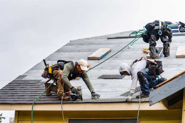 Professional Roof Inspection technician working in Newton Junction, NH